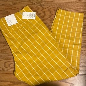 Skinny Ankle Stretch High Rise Fitted Hip & Thigh